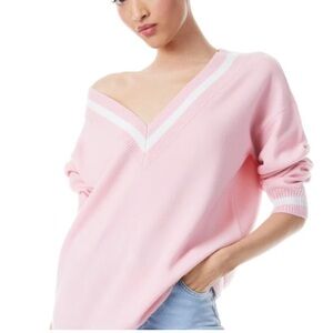 Alice and Olivia Clement V-Neck Varsity stripe pullover